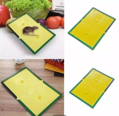 Mouse Trap Glue Board – Strong Adhesive Rat & Mouse Catcher (Pack of 3)